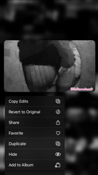 POV: Your Stepsister Got the Wrong Chat