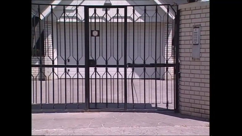 Cinema X: Geweldige milf geneukt door grote pikken tijdens een aperitief