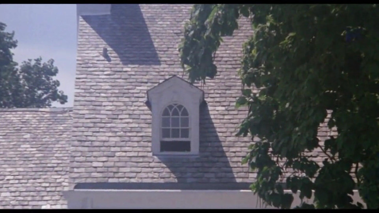 Bisco Birchwood Productions: Gekke jaren 80 seksdrama