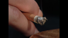 RATATATA!: 알렉시스 말론: 그 큰 스트랩폰으로 계속 나를 박아줘