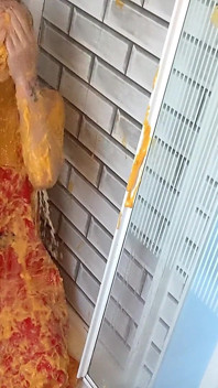 Nacho pvc apron duş ve temizlik ile wam