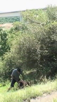 Er fickt eine junge schlampe auf dem land und dann auch zu hause