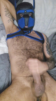 Pup Talking Dirty to You