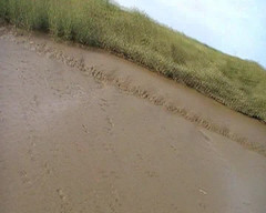Andy: Muddy Wank