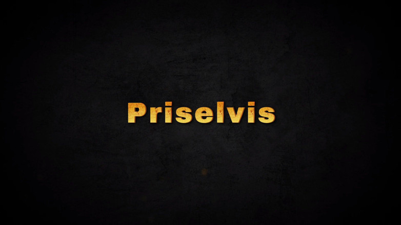 steffigeil: Priselvis cuidou muito bem disso para mim