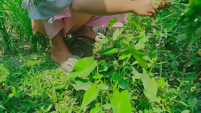 Deshi women: Gaon's Desi Chudai Jungle Mein Mangal