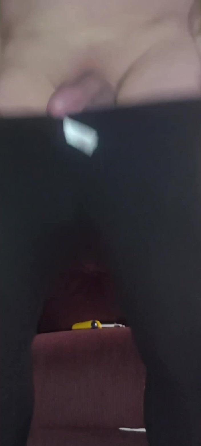 Jerkoffsunny: Jerkoffsunny New Compilation XXX