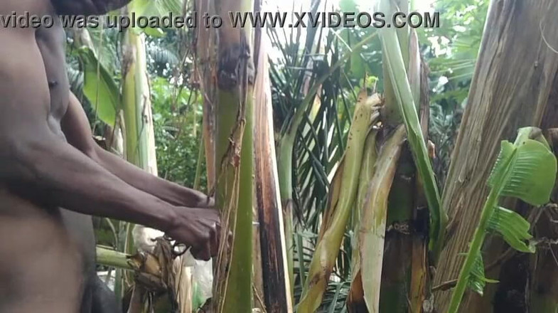 Bangcum8: Homem sozinho na floresta e faça a árvore plantain é esposa e...