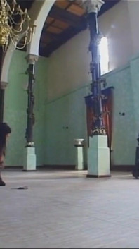 Dominujący cycki bondage dildo grać