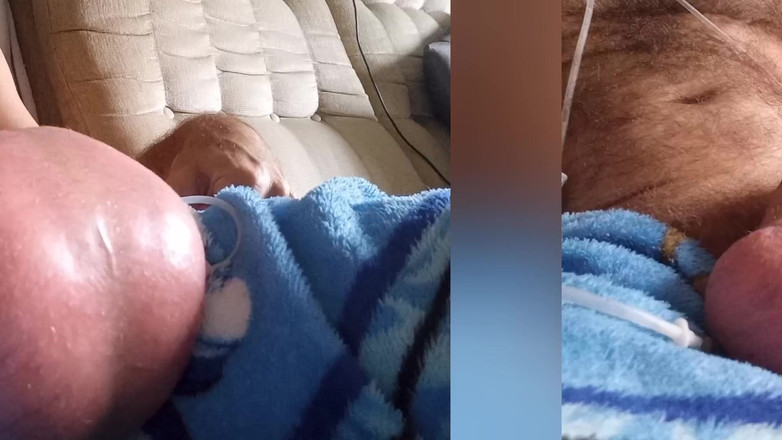 Lion big balls: Balls Saline