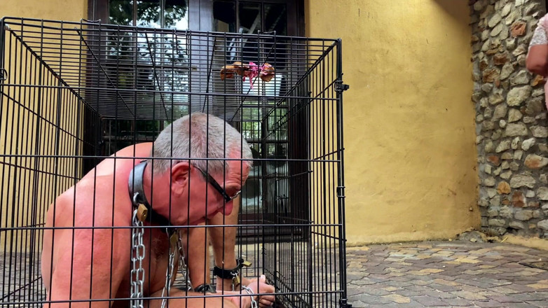 Mistress April: Caged - Kroniky života u jejích nohou