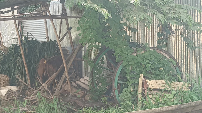 Inba: 屋外ファック