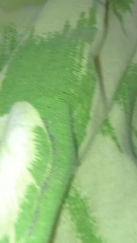 I Blowjob on My Bed and on My Music