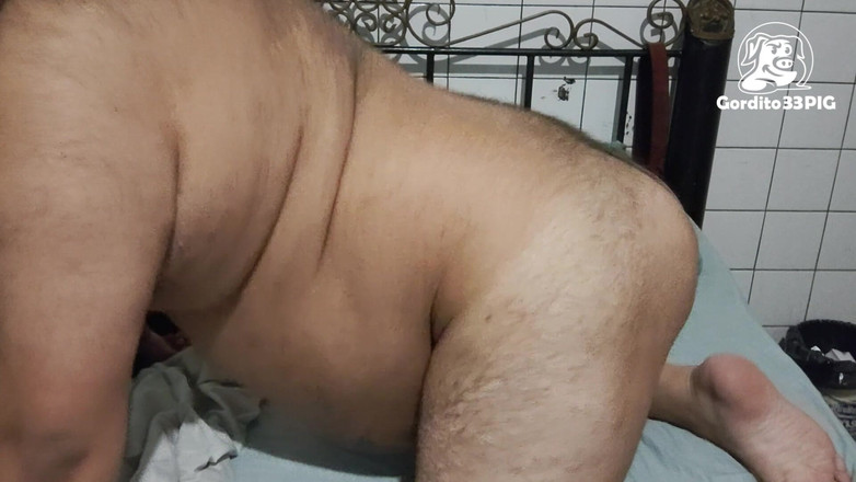 Gordito33PIG: Grăsime de porc în mișcare