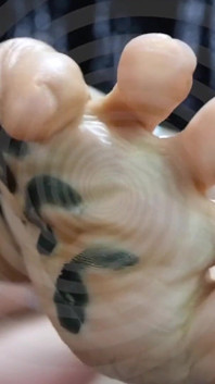 I'll Mesmerise You with My Satanic Feet