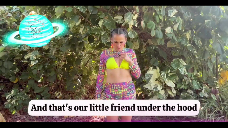 Suzy Wylde: 수지 와일드