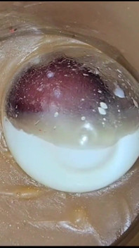 Compilation Creampie Part 5 POV