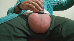 Lion big balls: Garam dalam Testis