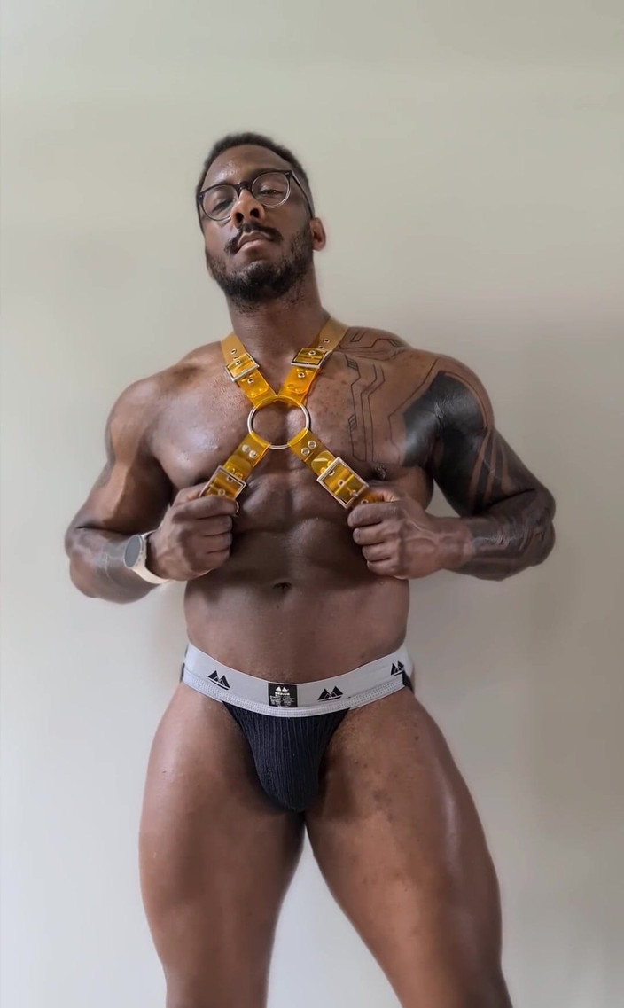 Amadeus: Ce nouveau harnais est feu en jaune de #stongpup sur Instagram...