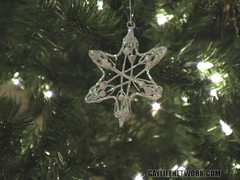 Beddable Boys: Crot di bawah pohon natal