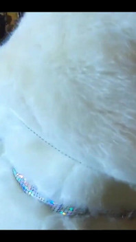Milfycalla fickt schneewittchen ist eine spermaschlampe 236
