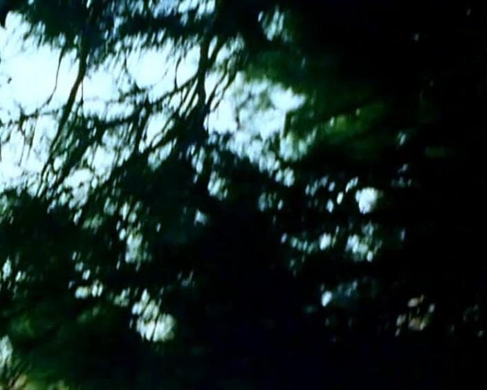 GERMAN PORN CLASSICS: Zlaté století porna 2