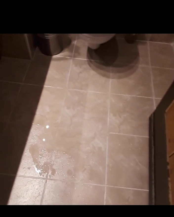 FrauleinP: हताश हो गया और खुद को पेशाब किया