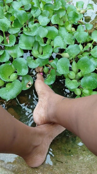 Chilling by the Water Lillies