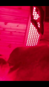 Red Light Therapy, Makes Guy Horny