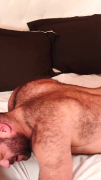 BEARFILMS - Papi-bär Martin Pe besamt junge Mathieu Angel