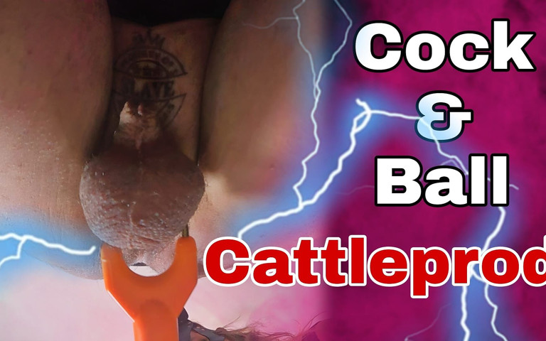 Cock & Ball Cattle Prod (Training Zero)