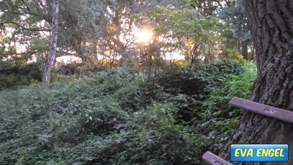 Eva Engel: Nackt im wald