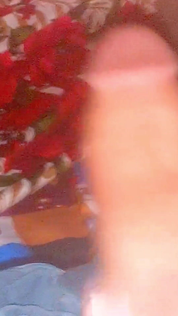 Bade Lund Wala: Pulă desi