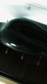 Latex Domina