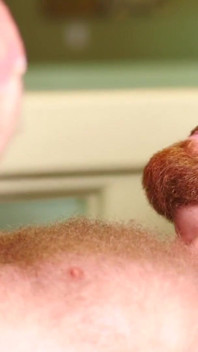BEARFILMS - Raw banging by Brad Kalvo for Russell Tyler