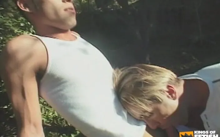 Gay Diaries: Blonde Guy Sticks Hairy Dick Inside a Friend with Tight...