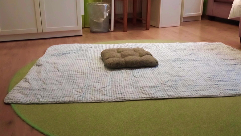 Mark Hannes: 枕头驼峰手淫