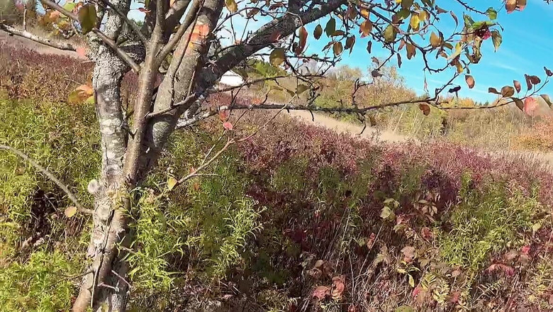 sweethanajapanese: परफेक्ट बॉडी नन्ही खूबसूरत Hana