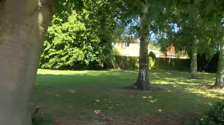 German amateur - 100% German hardcore videos: Astonishing blonde pissing her panties outdoors