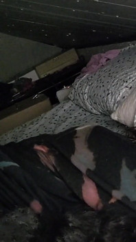 Sharing Bed with Stepsister Who Loves to Fuck Me.