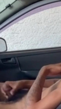 Brunette Jerking off in the Car