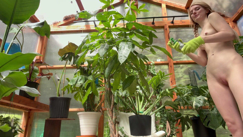 Destination Kat: Prepping Plants