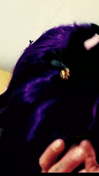 POV of Purple Neko Stella Mae Sucking and Fucking