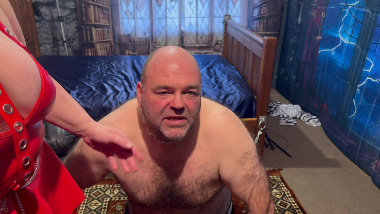 Aaexperiencesltd: Booboo зустрічає срібну лисицю з доміною сатаною