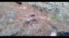 BBW Kelly Mom: Il baise une belle BBW au cul énorme dans les bois....