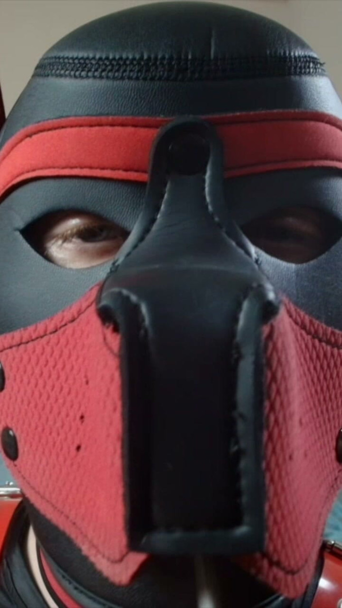 Alex GoodBoy: Pup Sucks His Lollipop up Close