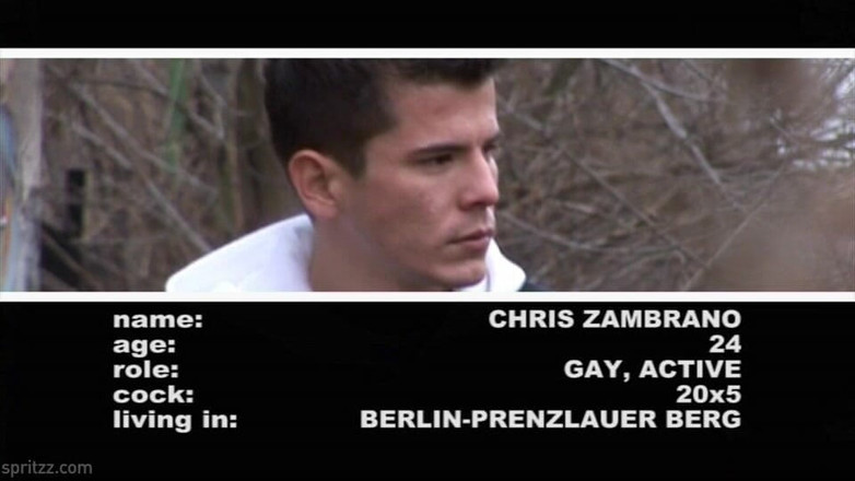 Spritzz: Spanish Stallion