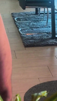 Penis chłosa