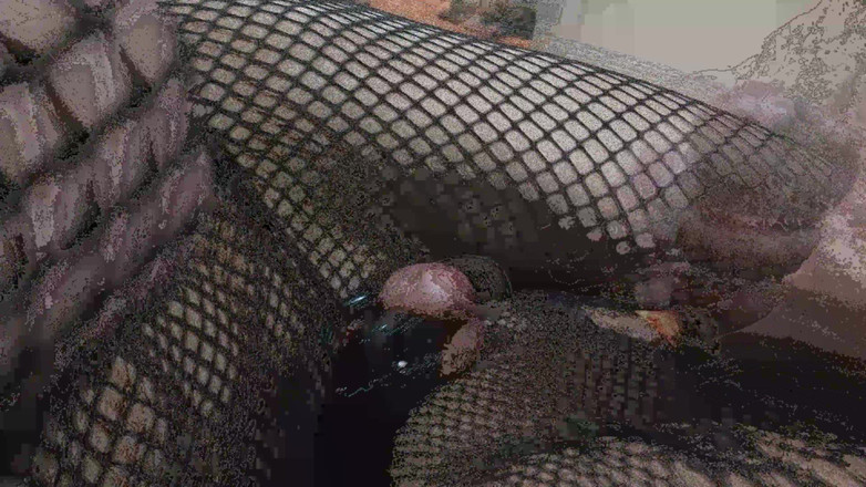 My hottest videos: Fată trans tânără este futută de un penis uriaș la...