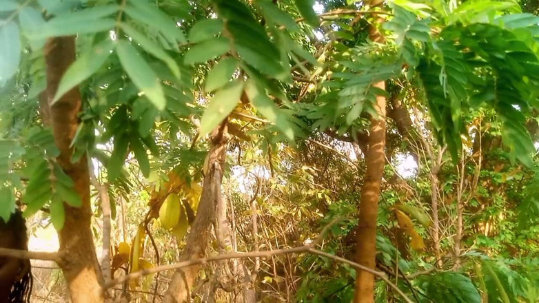 Bedeside19: Vida solitária na lua
